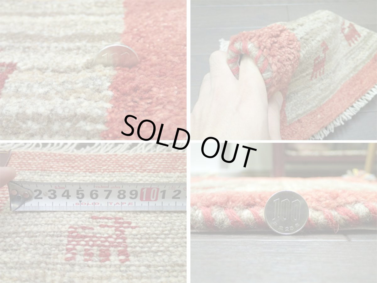 画像5: 座布団サイズミニギャッベ_C10_MiniGabbeh_36×45 (5)