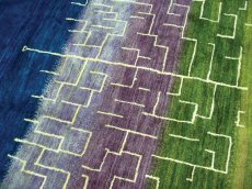画像4: ペルシャ ギャッベ リビング サイズ 203 x 162 cm F174 ハンドメイド 天然 ウール 手織り ラグ 絨毯 カーペット グラデーション 緑 青 紫 (4)