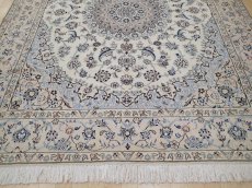画像8: 新品 ペルシャ 絨毯 ナイン 9la ノーラー 縦2.5m 5㎡ 4.5帖(四畳半) リビング ダイニング 3人掛け ソファ サイズ スクエア 正方形タイプ 250 x 200 cm No.136 天然 ウール 手織り ラグ ハンドメイド カーペット 敷物 クラシック スタイル 生成り ベージュ 青 (8)