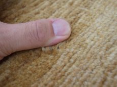 画像10: 良品 ペルシャ ギャッベ 縦2.5m 横1.5m 3.5㎡ 〜3帖 リビング ダイニング 3人掛けソファ サイズ 240 x 146 cm No.H104 天然 ウール 手織り ハンドメイド トライバル ラグ 部族絨毯 マット カーペット 民族柄 生成り クリーム グラデーション ギャベ ビンテージ b-H104-240146h054-585 (10)